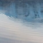 BLOG TEMPLATE #3